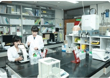Development of NAD(P)H Regenerative Bioreactor