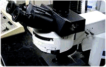 光学显微镜 (BX51)